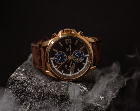 luxury watch storage